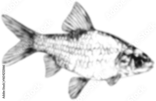 Halftone black and white illustration of a spotted fish swimming sideways