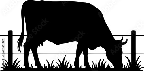 Grazing Cow in Pasture Silhouette