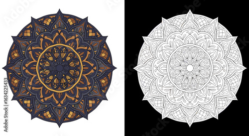 Mandala coloring vector design with intricate patterns on contrasting backgrounds  