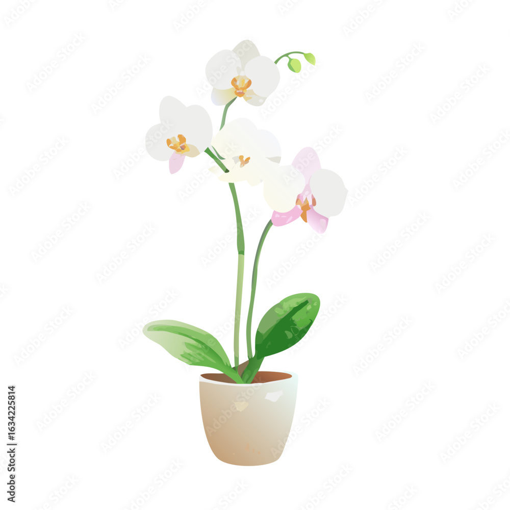 Obraz premium Elegant white orchid in a ceramic pot adds a touch of beauty to any indoor space or garden design, showcasing nature's artistry and vibrant colors