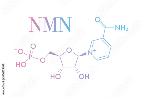 Molecular structure of NMN (Nicotinamide Mononucleotide) showing phosphate group, ribose sugar, and nicotinamide base. pastel color