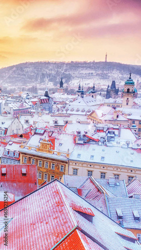 Download 4K Nature Backgrounds Free - HD Quality