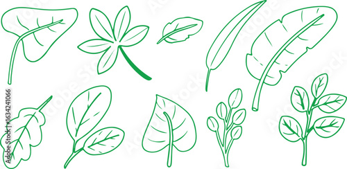 Green Leaf and Plant Doodle Set – Leaf, Botanical, Nature, Fun, Cute, Minimal, Isolated, Decorative, Vector, Outline, Garden, Organic, Plant, Eco, Sketch, Natural, Forest, Hand Drawn