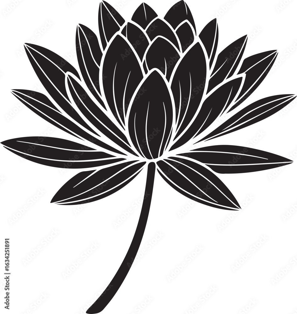 Obraz premium Elegant Black Lotus Flower Illustration