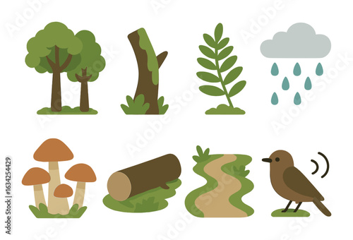 Rainforest Icons for Kids. Flat vector mini-illustrations Temperate rainforest biome in colors children's
