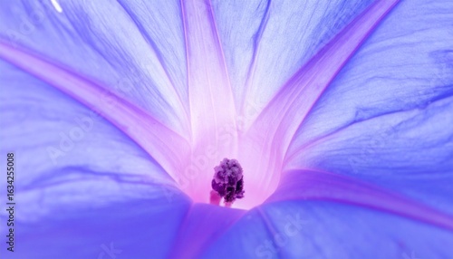 Generated image Close Up of Soft Violet Morning Glory Petals 