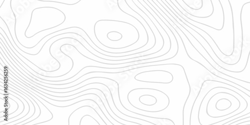 Black and white lines seamless Topographic map patterns, topography line map. Vintage outdoors style. The stylized height of the topographic map contour in lines and contours isolated on transparent.	