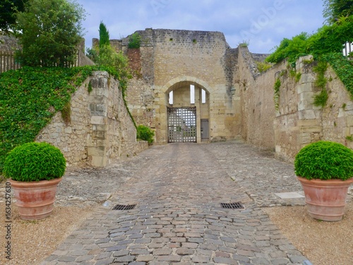 Entrée d'un château fort médiéval avec chemin pavé et remparts en pierre.