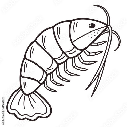 Black and white shrimp illustration prawn seafood