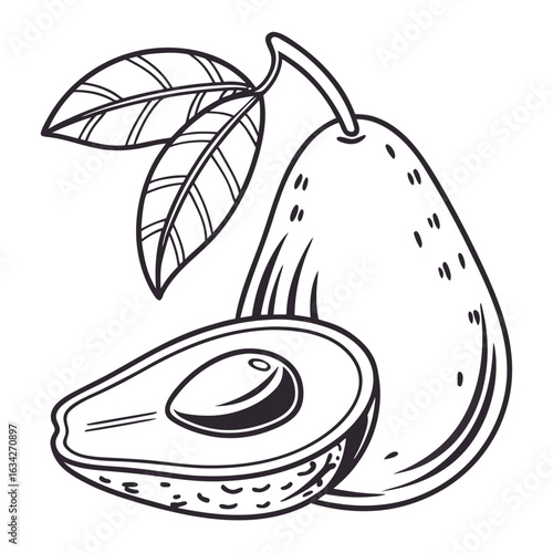 Whole and halved avocado with leaves fruit food
