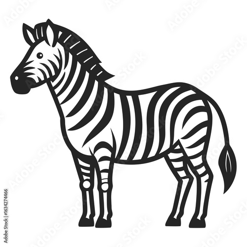 zebra isolated on white background