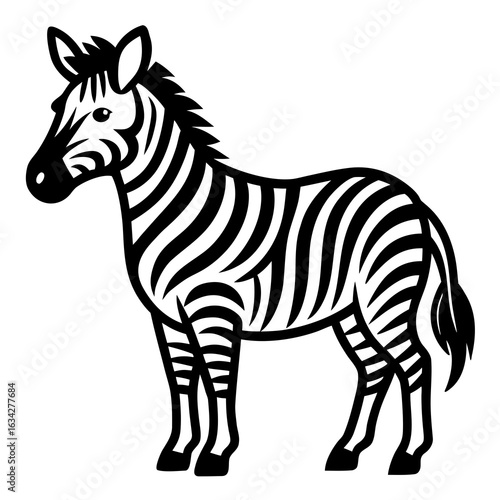 zebra isolated on white background