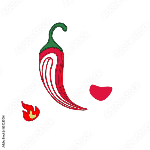 hot chili pepper. Red chili pepper hand drawn illustration. Vibrant red chili pepper illustration. Hand drawn red chili pepper. Red chili pepper doodle