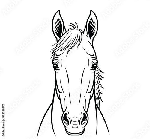 A detailed black and white line drawing of a horse's head facing forward