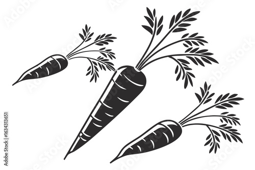 Illustration of fresh spinach leaves isolated on white background