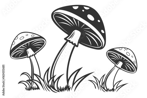 Illustration of mushrooms in grass isolated on white background