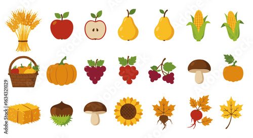 Autumn harvest icons flat vector set with fruits and vegetables