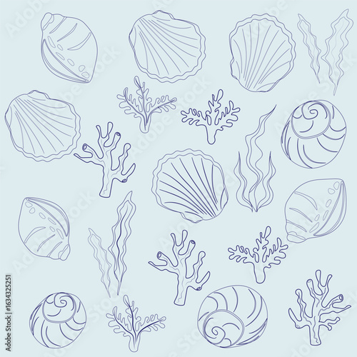 Wallpaper Mural Set of transparent skickers of shells and seaweed. Coloring children's sea world. Contour of shells drawn by hand Torontodigital.ca