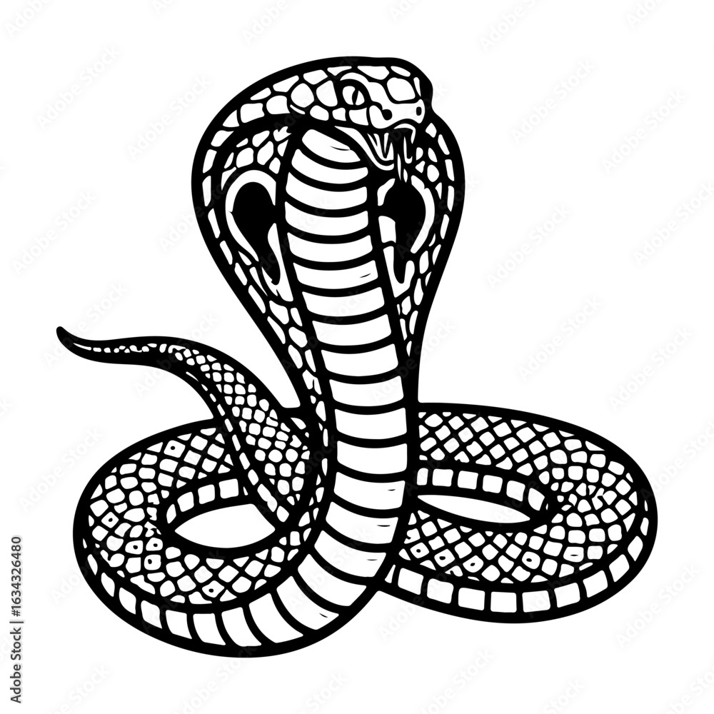 Fototapeta premium Black and White Cobra Snake Illustration with Detailed Scales and Hood vector