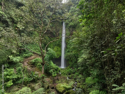 Tropical Waterfall in the Jungle of Bali

