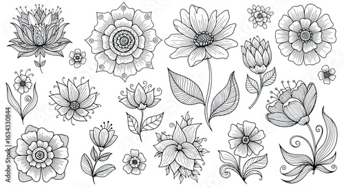 Floral Vector Illustration Set with Hand Drawn Botanical Elements in Black and White Sketch Style
