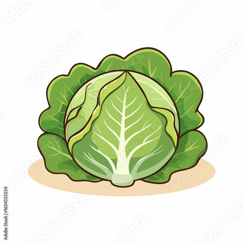 Vibrant green cabbage illustration showcasing fresh produce and healthy eating concept