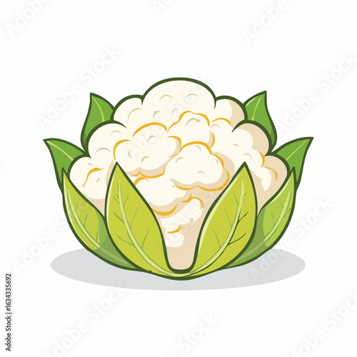 Detailed cartoon illustration of a fresh, healthy cauliflower with green leaves
