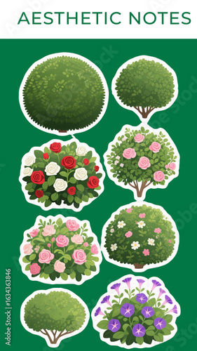 vector illustration of a lotus flower