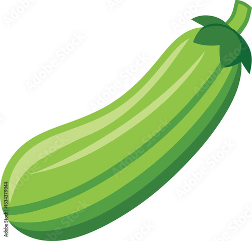 vector illustration of a cucumber