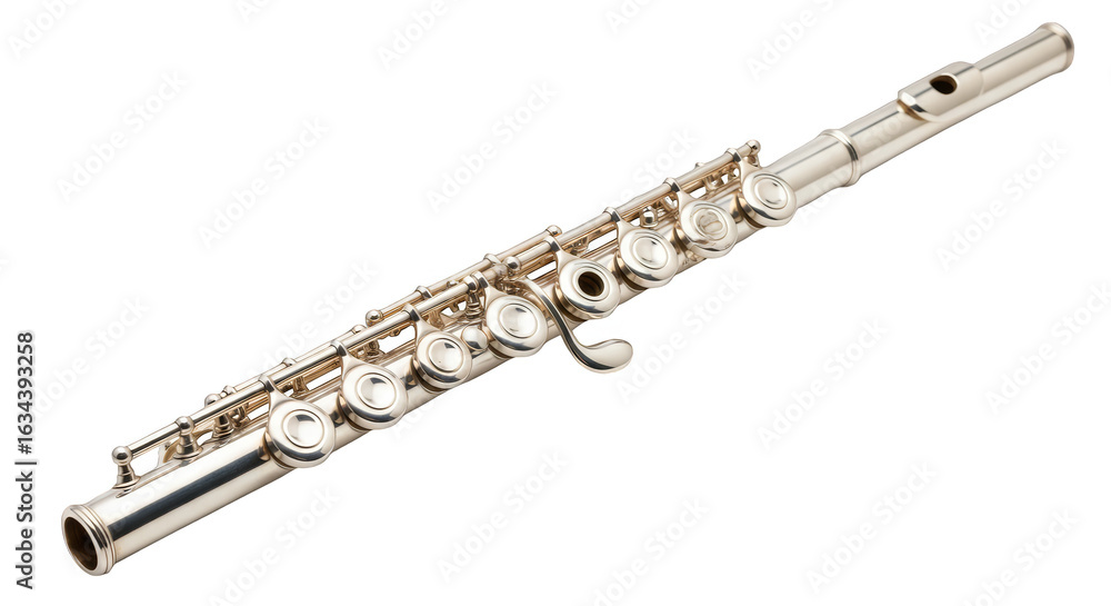 Fototapeta premium Silver Flute Gleaming Against Black
