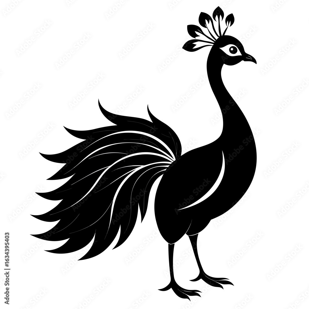 Fototapeta premium Vector art of elegant peacock isolated on white background, a beautiful illustration of a majestic bird