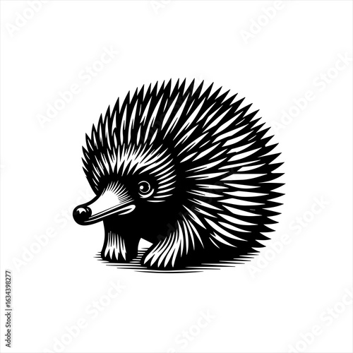 An echidna curled up tightly