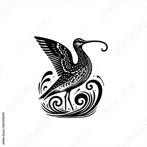 A curlew bird illustration