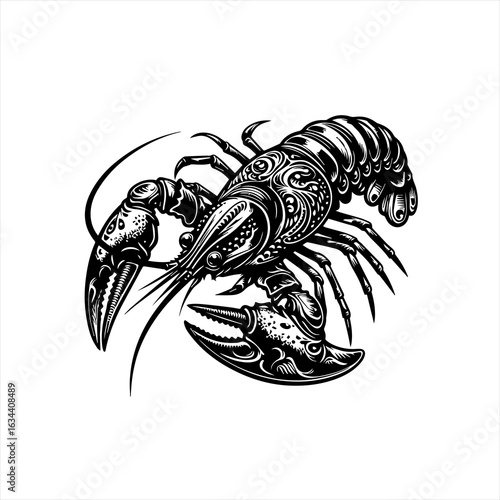 A detailed crayfish illustration