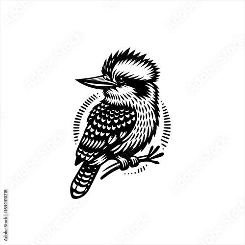 Kookaburra bird illustration