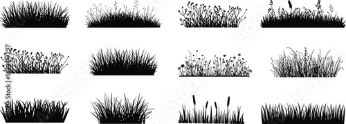 Grass and plant silhouettes, botanical elements, nature design, floral shapes, vegetation variety, landscaping graphic, black and white, organic forms