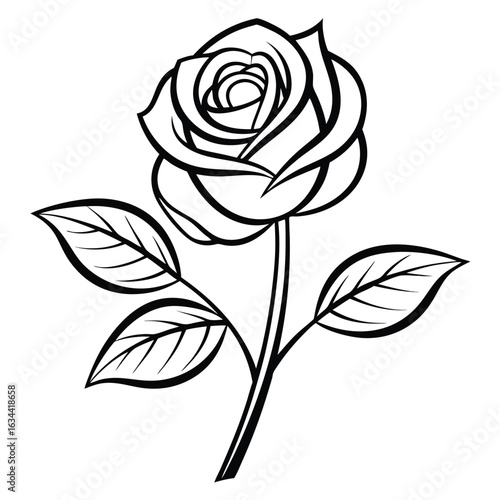 Single fully bloomed rose with tightly curled petals isolated on white background