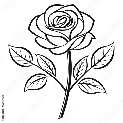 A fully bloomed red rose with tightly curled petals isolated on white background