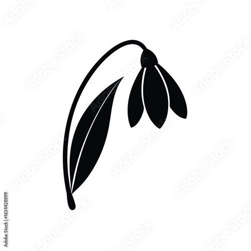 Snowdrop Flower Silhouette – Minimalist Black Botanical Vector art