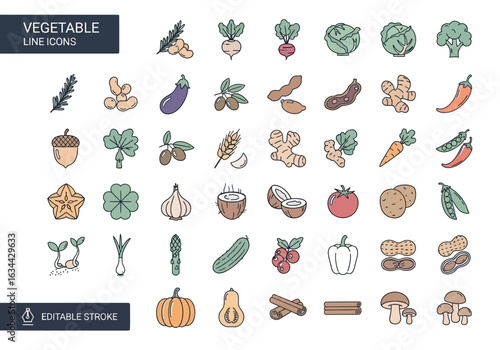 Beach and summer vacation line icon set. A comprehensive collection of symbols for travel, seaside holidays, and tropical life.
