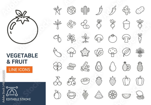 Beach and summer vacation line icon set. A comprehensive collection of symbols for travel, seaside holidays, and tropical life.