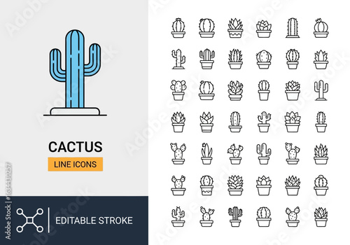 Beach and summer vacation line icon set. A comprehensive collection of symbols for travel, seaside holidays, and tropical life.