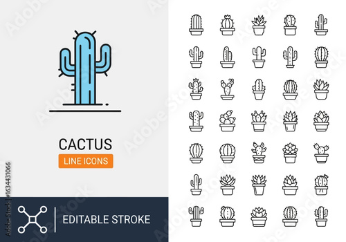 Beach and summer vacation line icon set. A comprehensive collection of symbols for travel, seaside holidays, and tropical life.