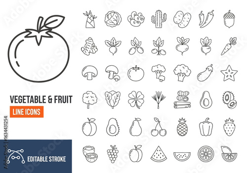 Beach and summer vacation line icon set. A comprehensive collection of symbols for travel, seaside holidays, and tropical life.
