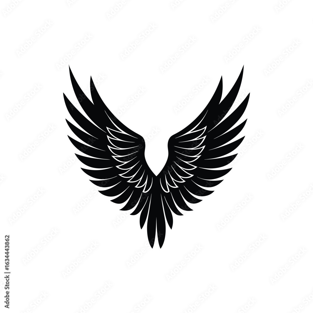 Obraz premium eagle with wings