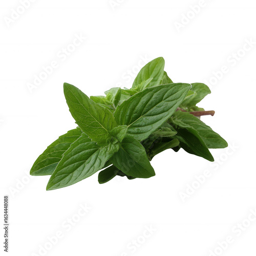 Fresh mint leaves on a white isolated background, showcasing their vibrant green color and unique texture.