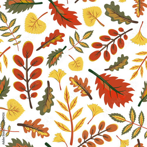 Autumn leaves seamless pattern on separate white background. Yellow, red and green fallen leaves vector illustrations of oak, ginkgo, poplar, rowan, robinia and ash tree leaf.