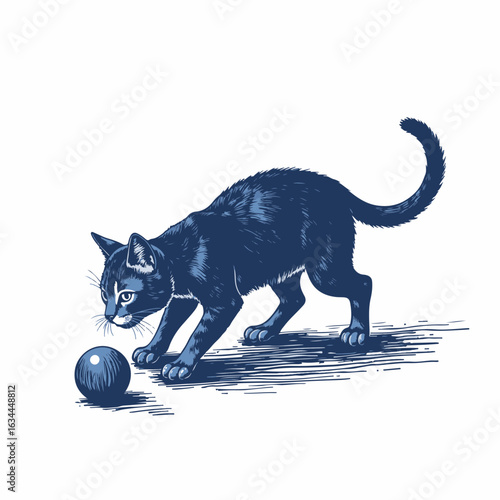 Cat playing with toy ball in playful moment. Black cat curiously interacts with a round ball, showcasing its playful behavior and agility.