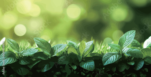 A lush green field with many leaves and grass. Concept of freshness and vitality