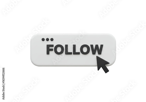 Isolated Sleek Follow Button